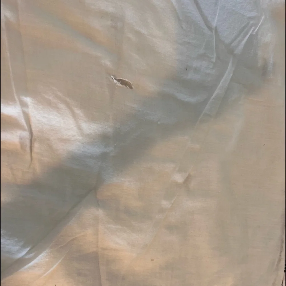 Anthropologie Embroidered Lilou Euro Shams (2) Cream and Black Design​​​​​​​​​